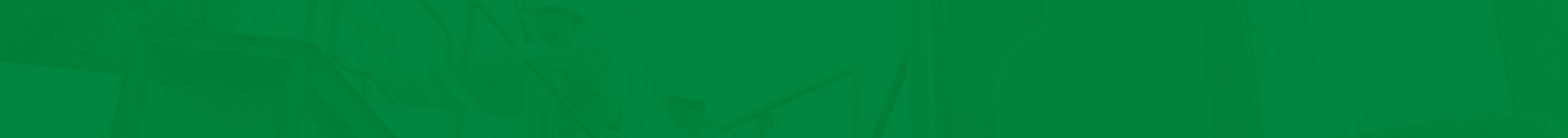 真?zhèn)巫R(shí)別